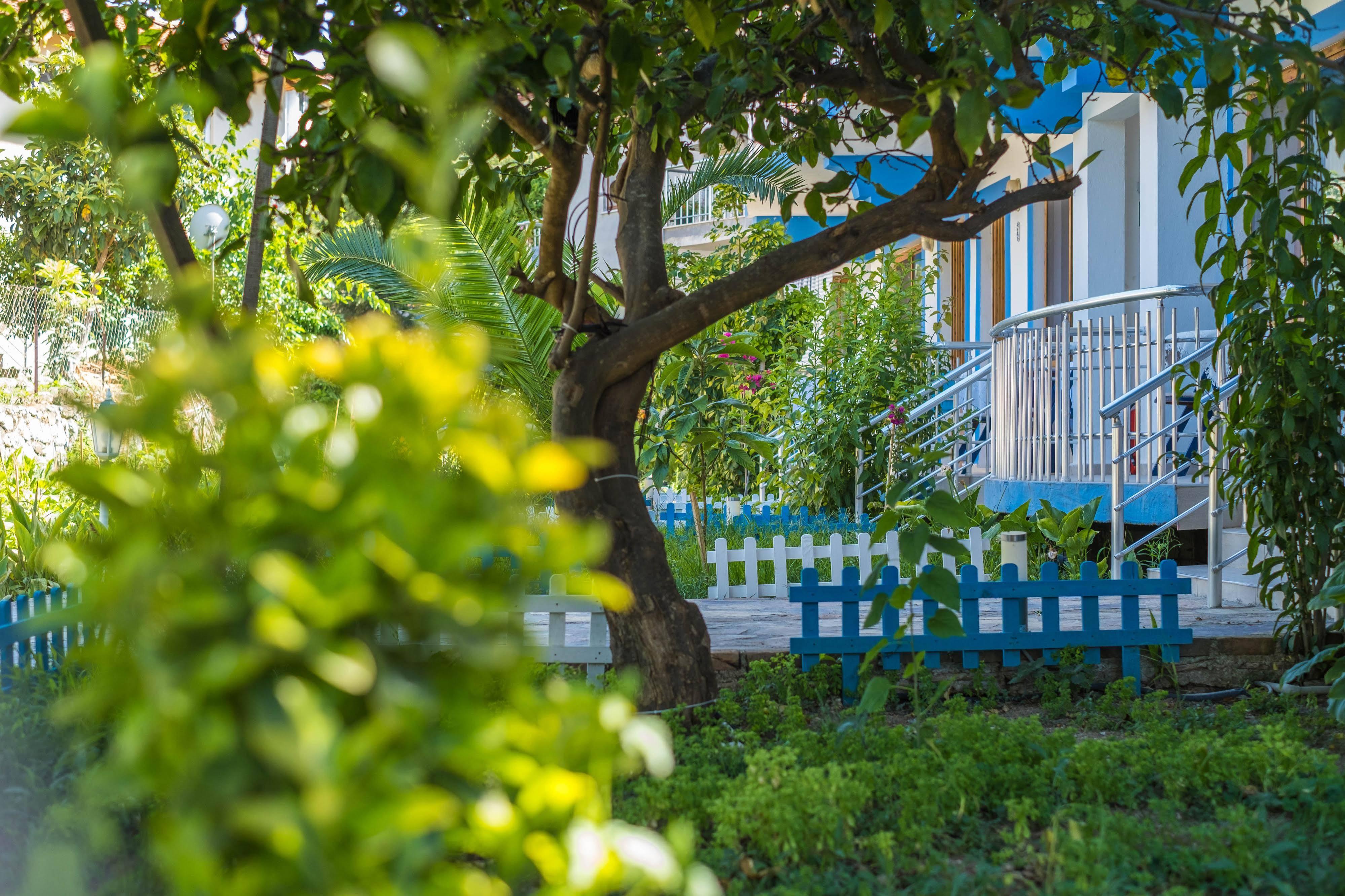 Balalayka Butik Otel Мугла Экстерьер фото